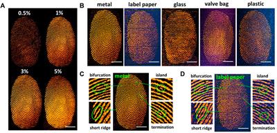 Fluorescence Enhancement of Dicyanomethylene-4H-Pyran Derivatives in Solid State for Visualization of Latent Fingerprints
